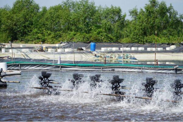 vai loc nuoc nuoi trong thuy san 3